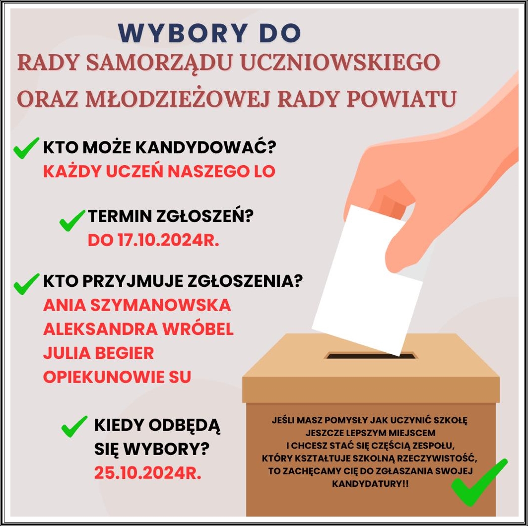 wybory