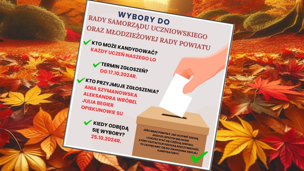 plakat wybory do samorządu